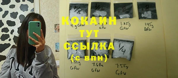 дживик Баксан