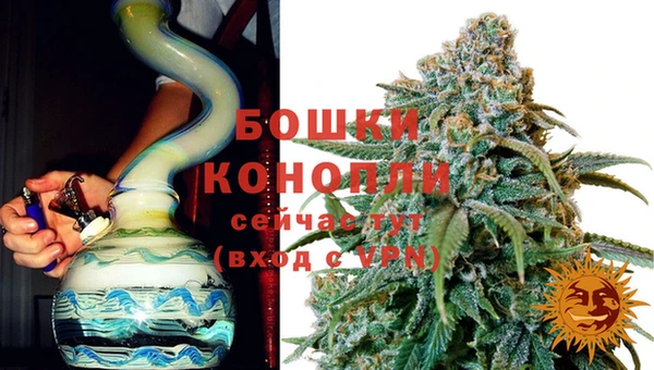 PSILOCYBIN Балахна