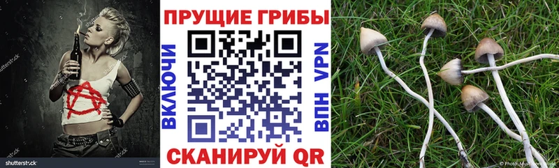 Галлюциногенные грибы ЛСД  даркнет сайт  Чернушка 
